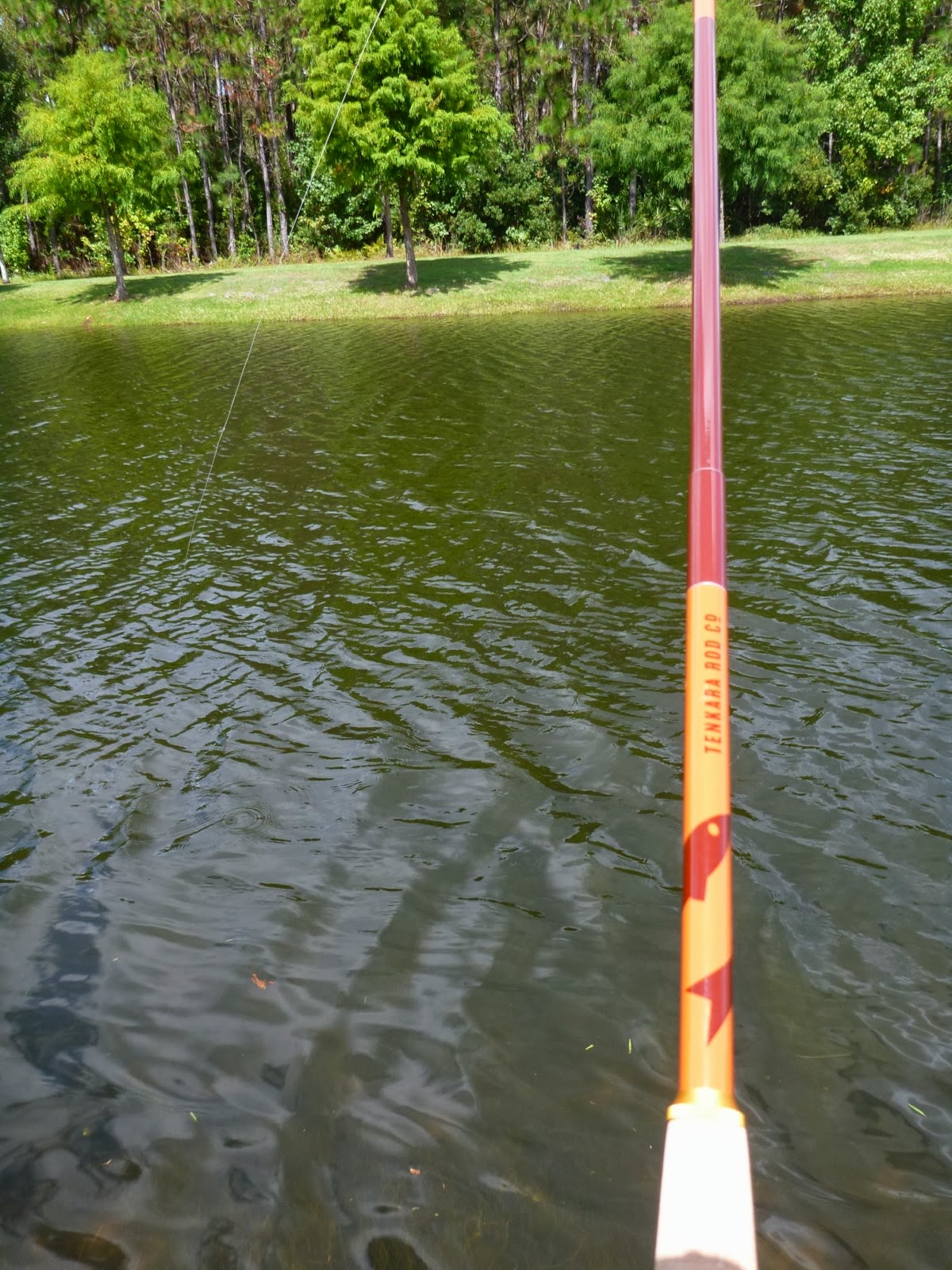 For Sale Tenkara Rod Co Owyhee Package- 13 Ft / 7:3 Action